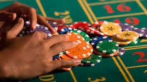 bingoplys