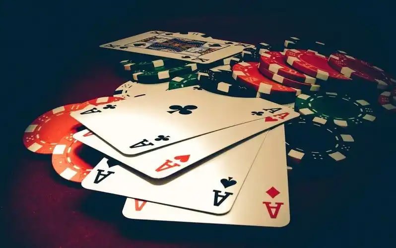 bingoplys